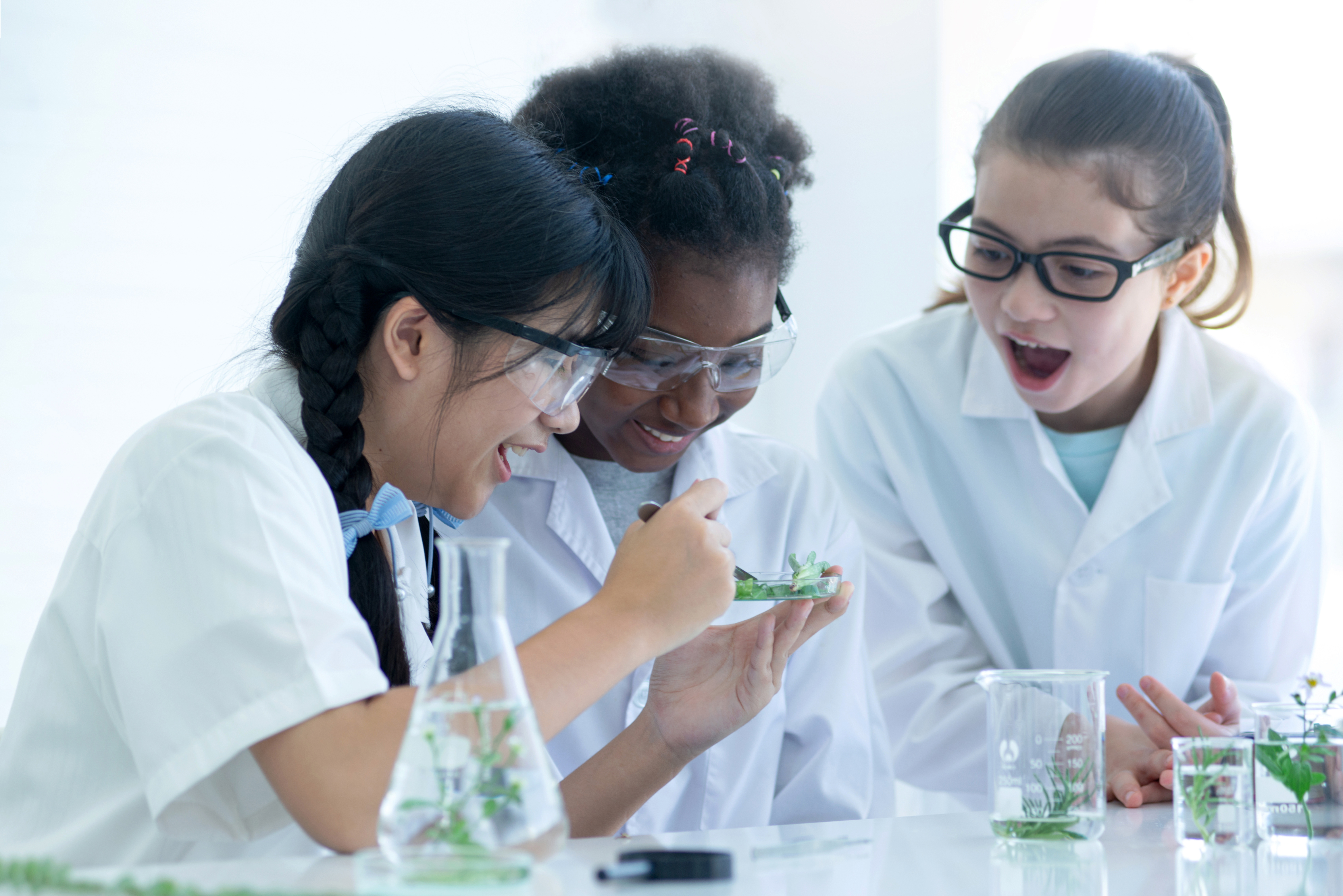 Gender in science and STEM: Possibilities for shifting perspectives