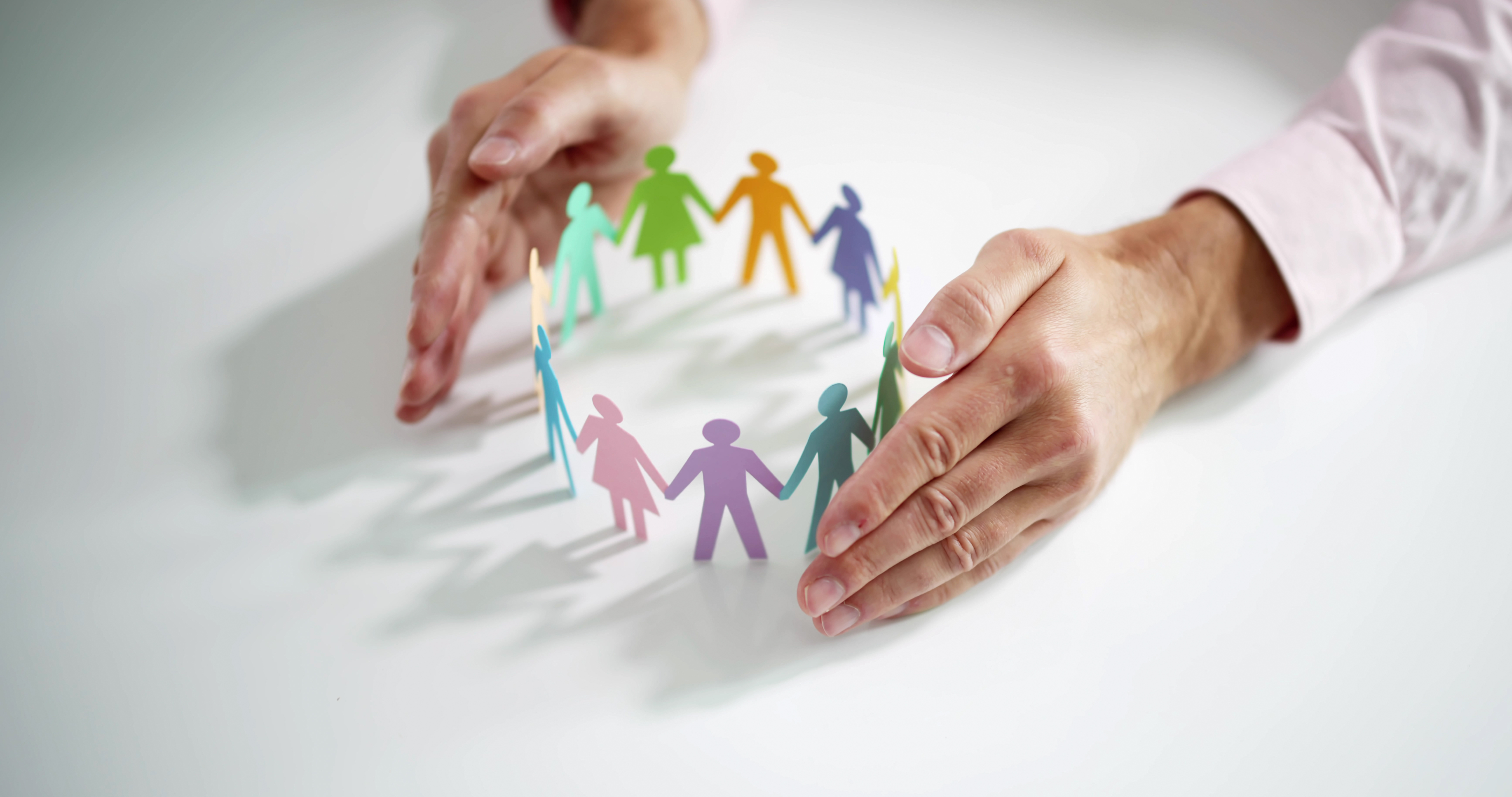 Calling all allies: sharing and learning from CCDI queer professionals